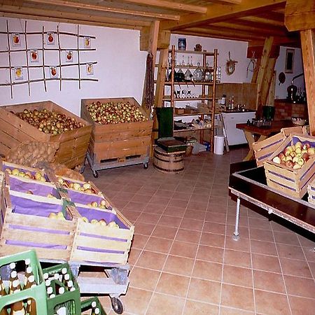 Ferienwohnung Aichem Radolfzell am Bodensee Kültér fotó
